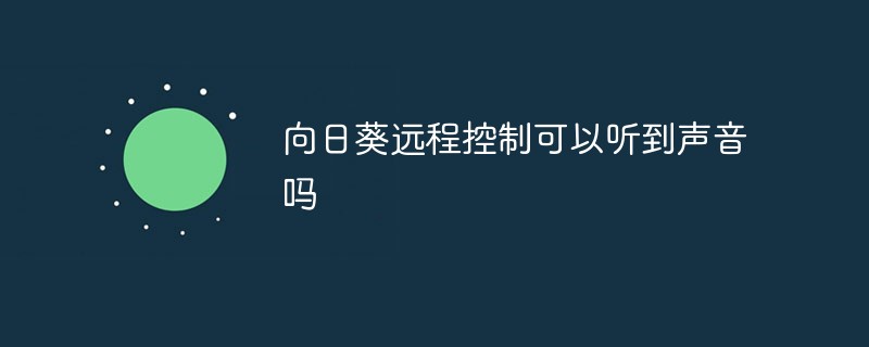 向日葵遠(yuǎn)程控制可以聽(tīng)到聲音嗎