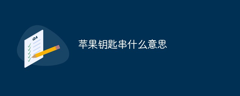 蘋(píng)果鑰匙串什么意思