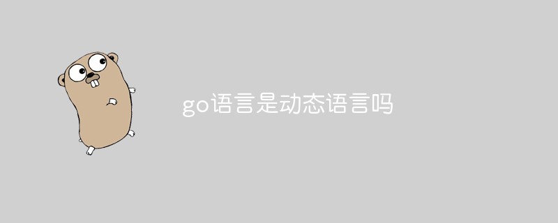 go語(yǔ)言是動(dòng)態(tài)語(yǔ)言嗎