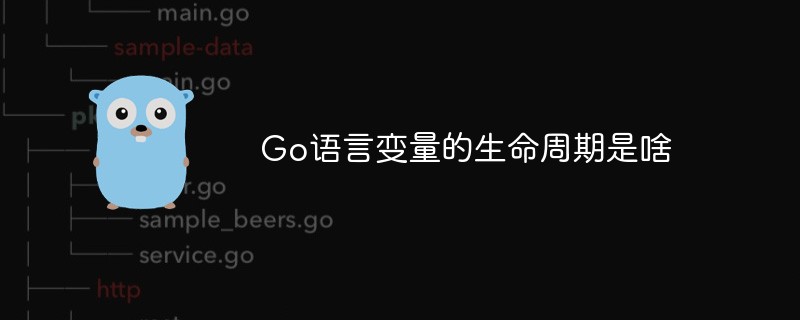 Go語(yǔ)言變量的生命周期是啥