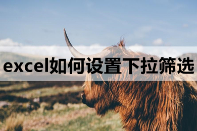 excel如何設(shè)置下拉篩選 excel設(shè)置下拉篩選的操作步驟