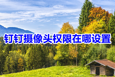 釘釘攝像頭權限在哪設置 釘釘攝像頭權限設置教程