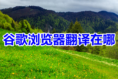 谷歌瀏覽器翻譯在哪 谷歌瀏覽器翻譯網(wǎng)頁(yè)功能在哪里設(shè)置
