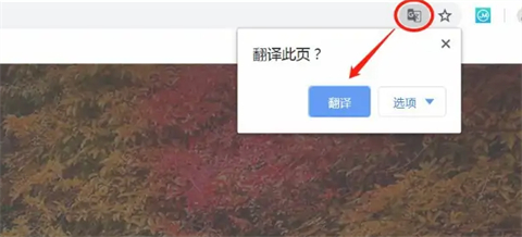 谷歌瀏覽器翻譯在哪 谷歌瀏覽器翻譯網(wǎng)頁(yè)功能在哪里設(shè)置