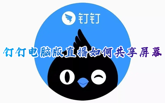 釘釘電腦版直播如何共享屏幕 電腦釘釘共享屏幕怎么弄