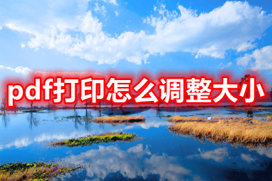 pdf打印怎么調(diào)整大小 pdf如何縮小打印比例